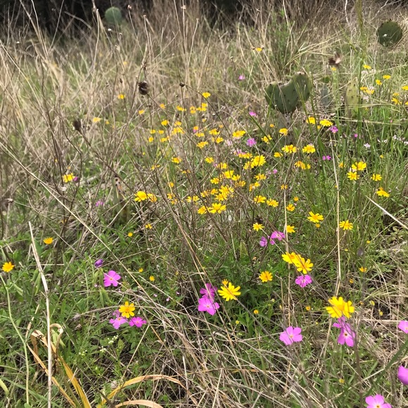 About me! - Picture 5 of 8